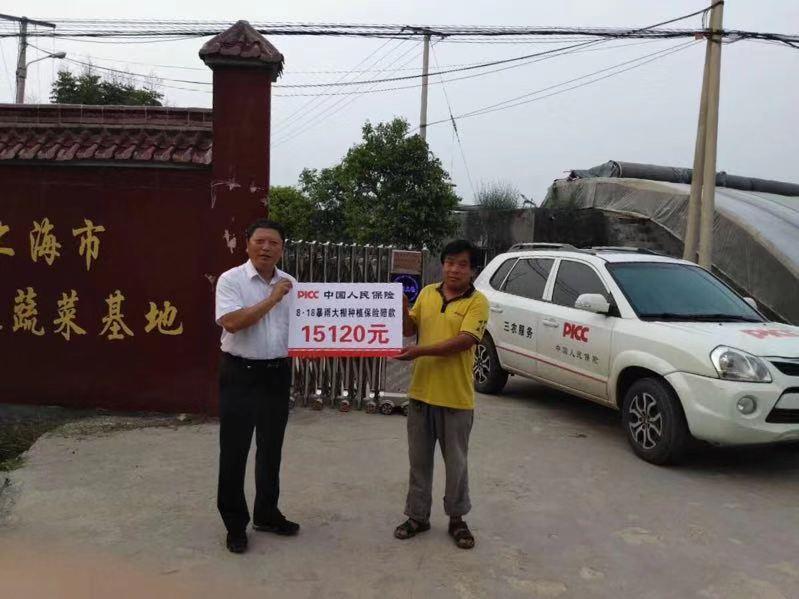 扎扎实实服务乡村振兴战略徐州人保财险创新农险高质量发展纪实