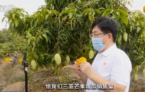 520第一次送女朋友什么礼物最用心,520送什么礼物给女友学生党