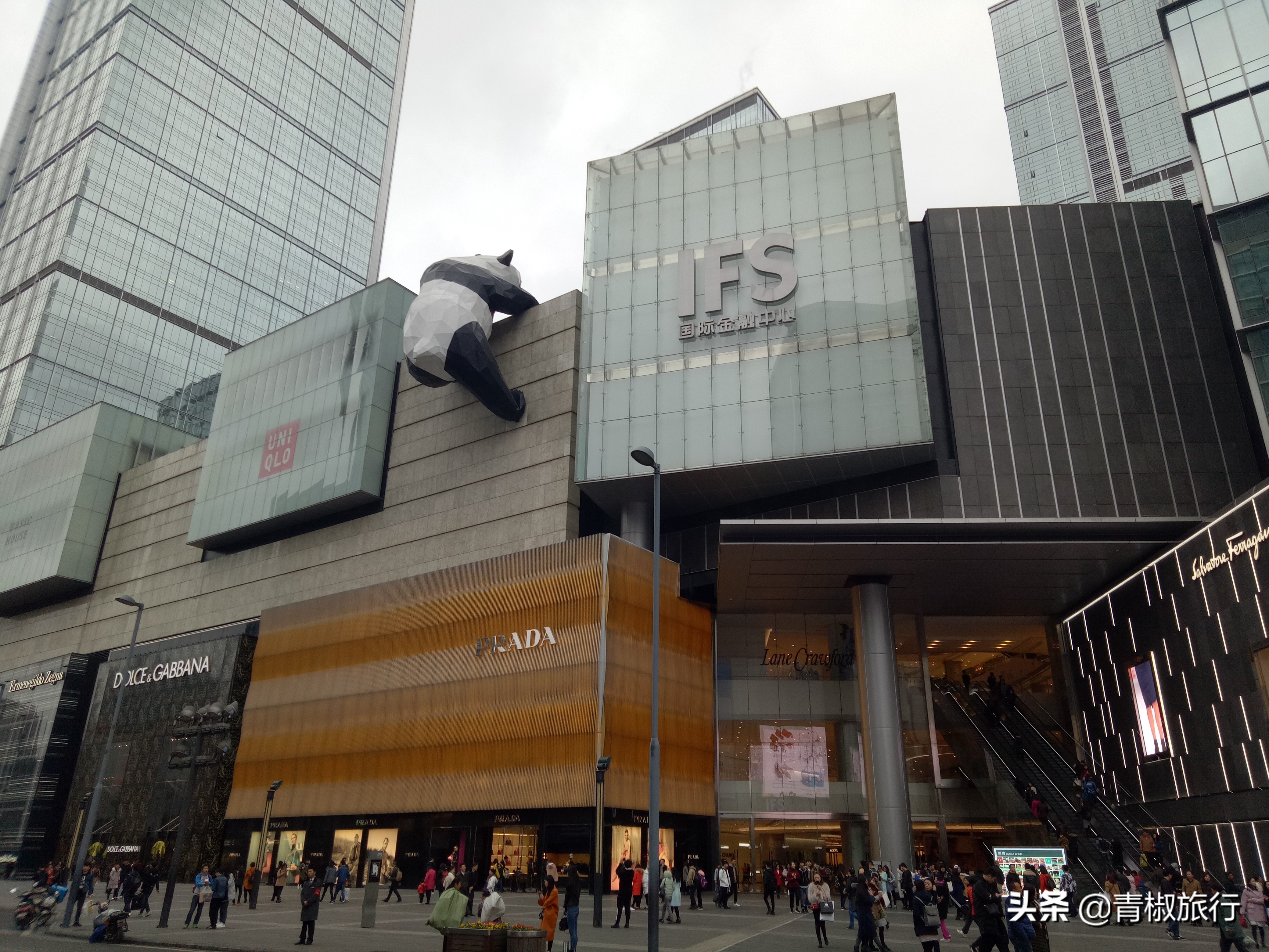 成都的美让人如此着迷，熊猫火锅麻将，春节每一景都是你来的理由