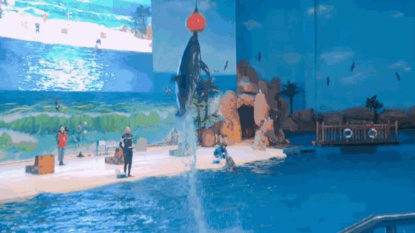 临沂海洋世界优惠券,临沂海洋世界特惠票