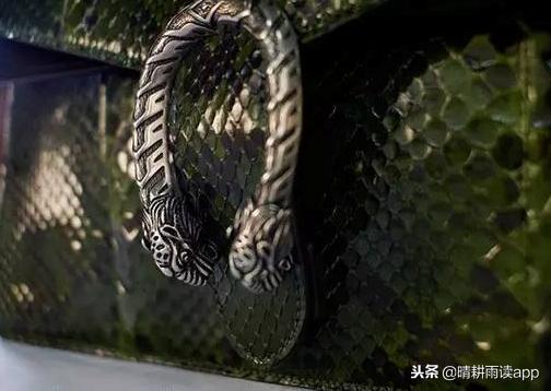 酒神包是什么时候出的,酒神包为什么这么火