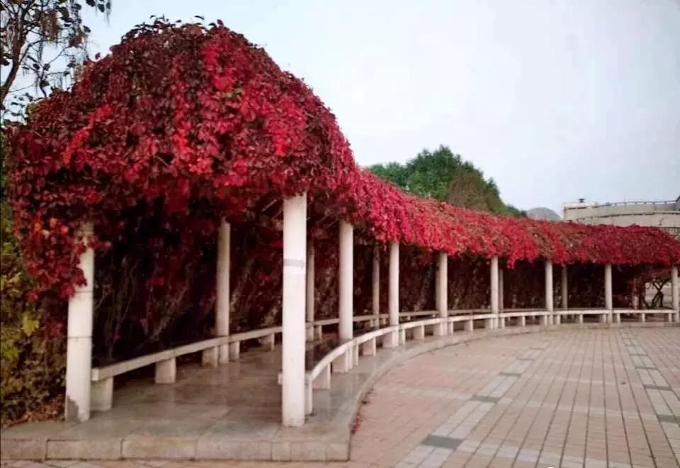 沈阳医学院在辽宁排名,沈阳医学院全面介绍