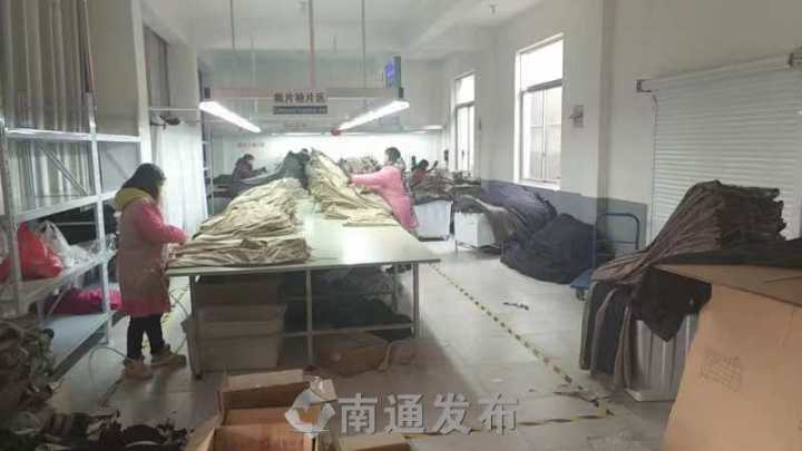 黑塌菜如皋种植,如皋160亩黑塌菜