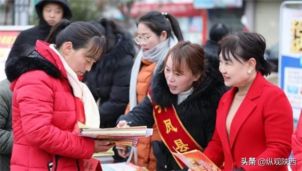 2024春风行动丹凤,丹凤县春风行动