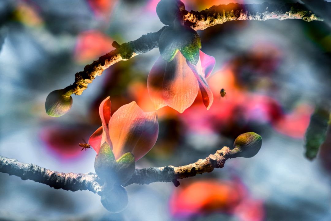 香港第14届全国摄影艺术展,第29届全国摄影艺术展览获奖名单