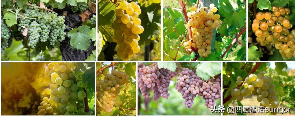 十年经验和技术感悟,10年商业经验