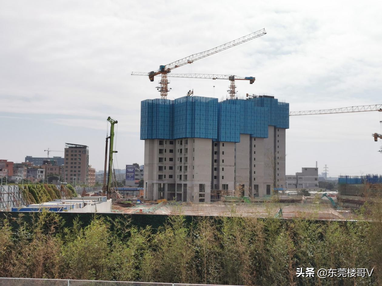 楼哥踩盘深业松湖云城,保利卓越中环广场为何这么火爆