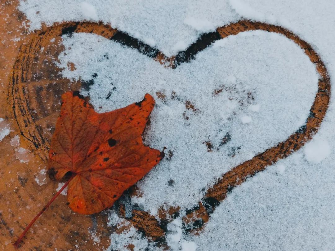 川西泡温泉看雪景,川西12月份最佳雪景泡温泉的地方