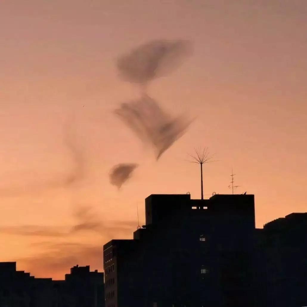 南开大学滨海学院天津排名,天津曾经的滨海学院