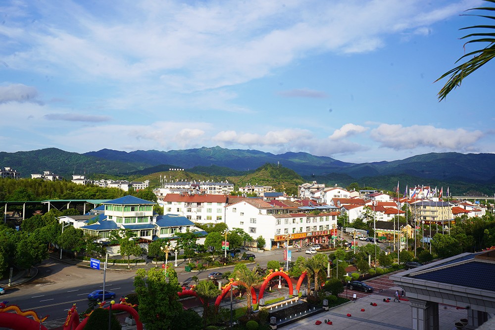 武夷山千禧大酒店金凤凰,武夷山千禧酒店温泉
