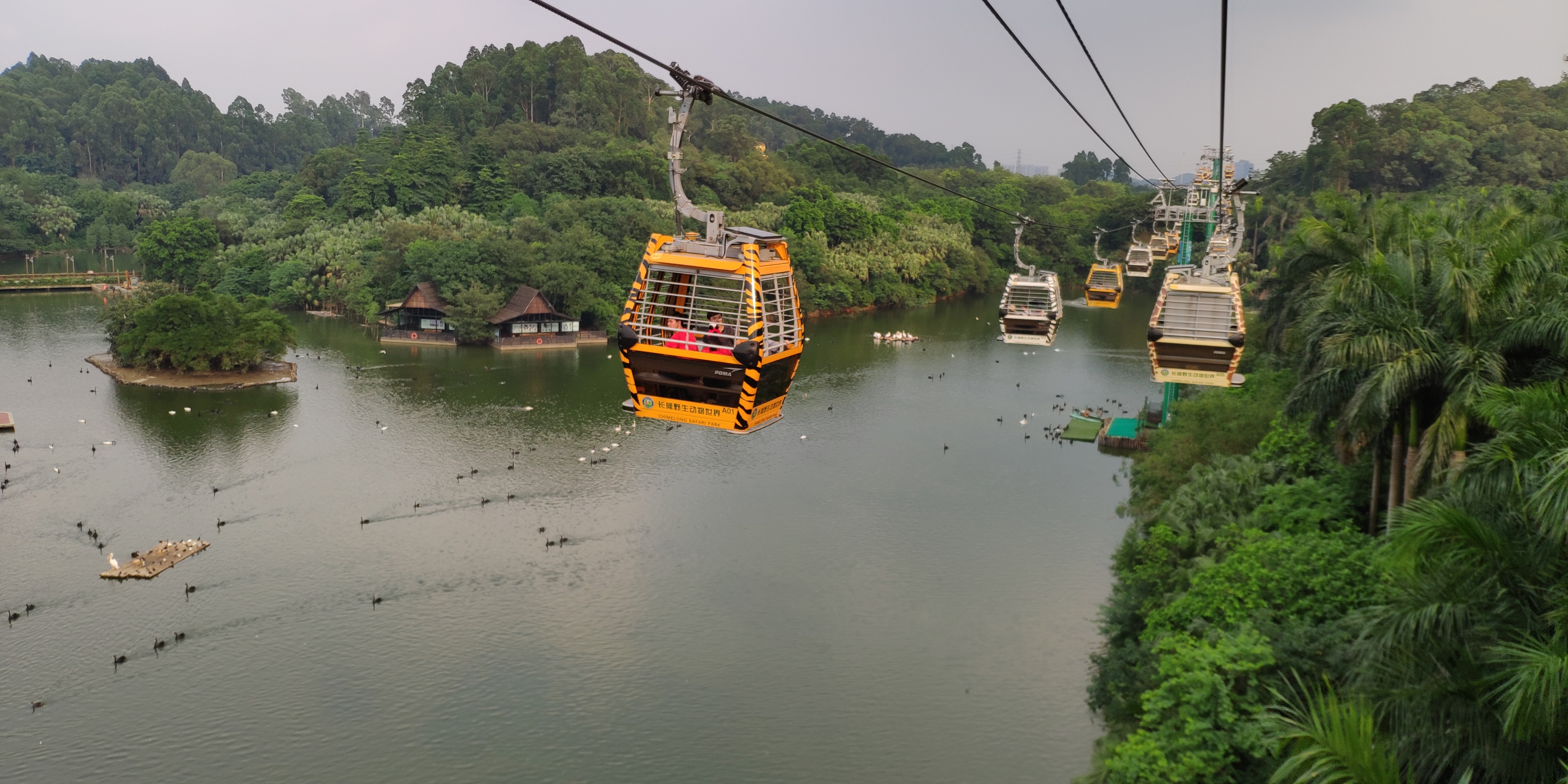 广州长隆四大园区游玩攻略,广州长隆两大两小最全游玩攻略