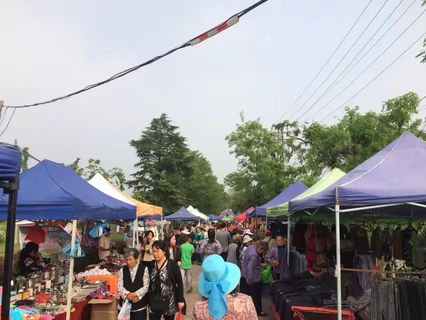 南京仙鹤门凶杀案,南京仙鹤门中学