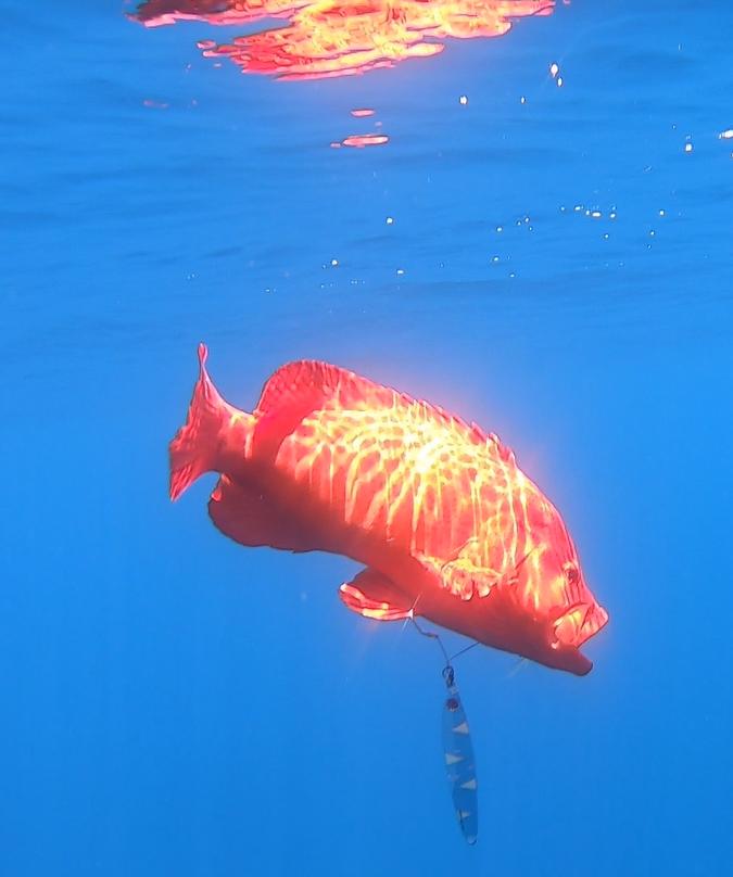 玩转沙巴海钓攻略,沙巴近海海钓
