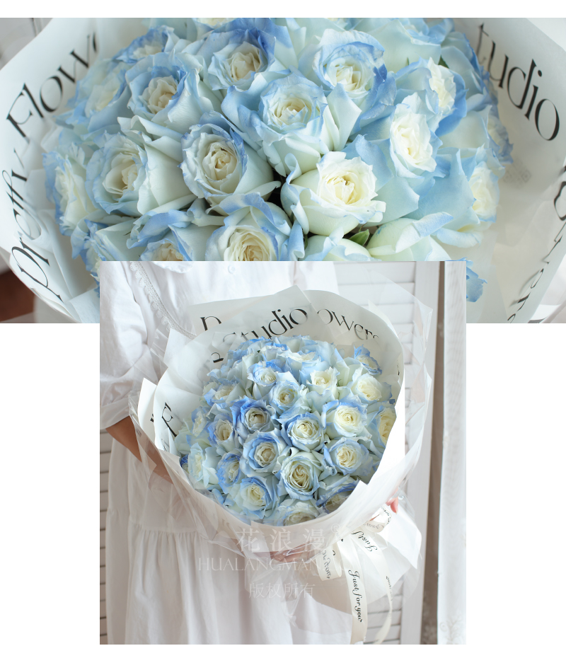 玫瑰花有几种颜色各代表什么意思,不同的玫瑰花颜色代表的是什么呢