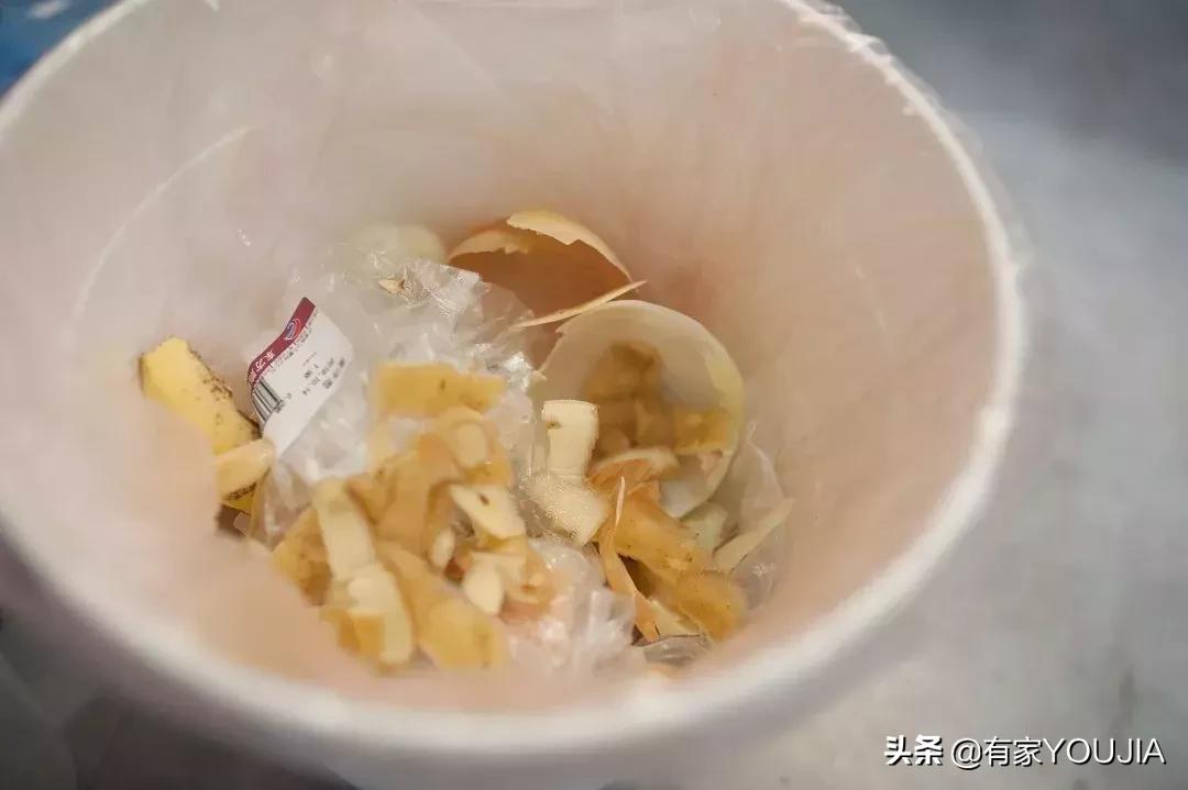 洗碗机和垃圾处理器有必要吗,垃圾处理器需要买品牌吗