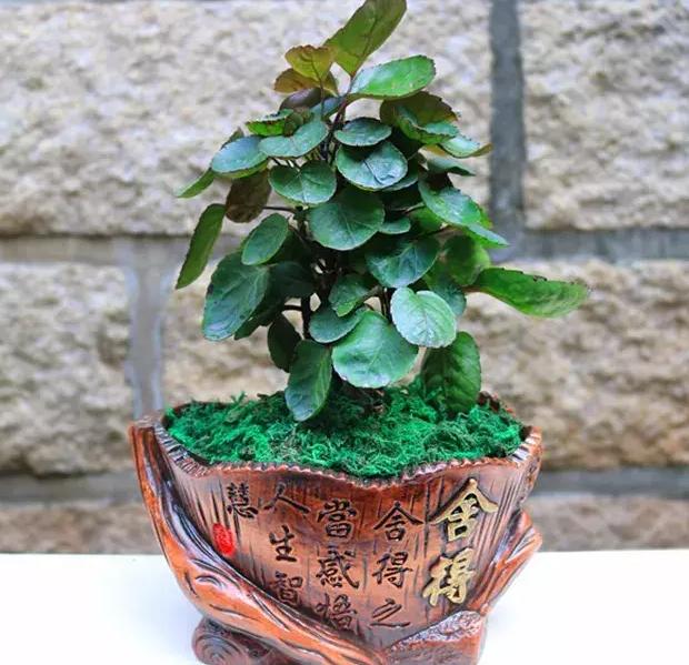 金钱兜寓意代表什么,金钱兜吉利吗