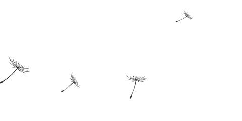 高分子小青瓦设计科学精巧,高分子小青瓦与烧制小青瓦