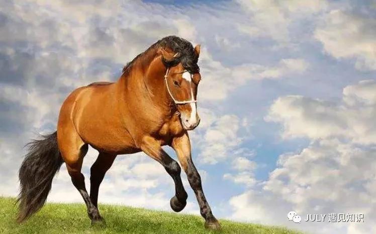 格局的话语,决定一个人格局的话