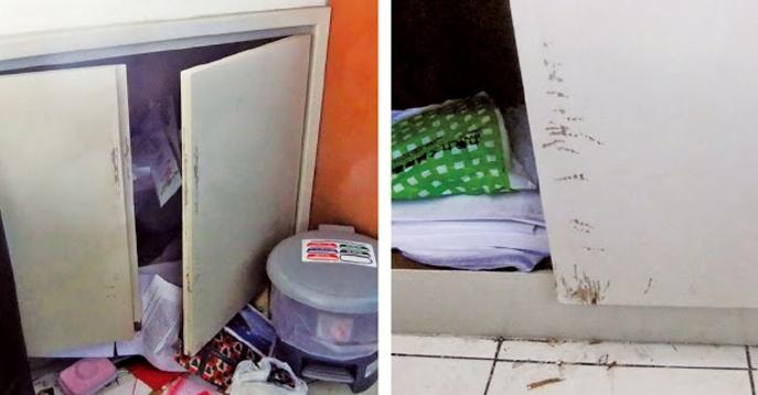 狗狗的7种怪异行为,常见的十种让狗狗恐惧的事物