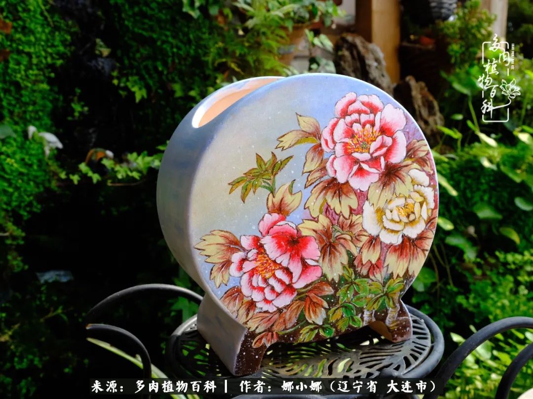 你是盆我是花，你护我周全，我为你绽放