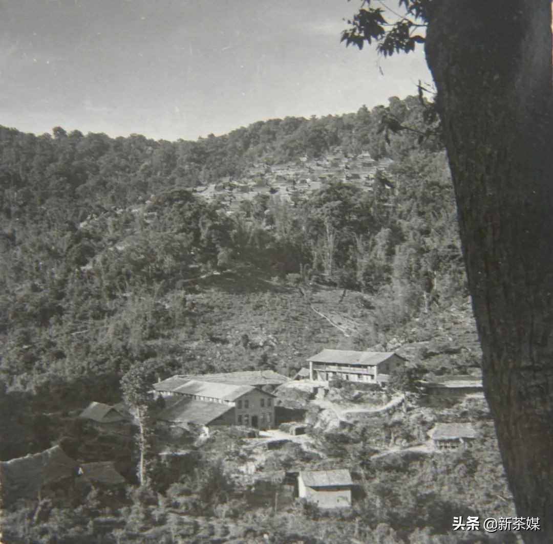 从银生到普洱，从倚邦、易武到佛海看普洱茶的产、运和销流变史