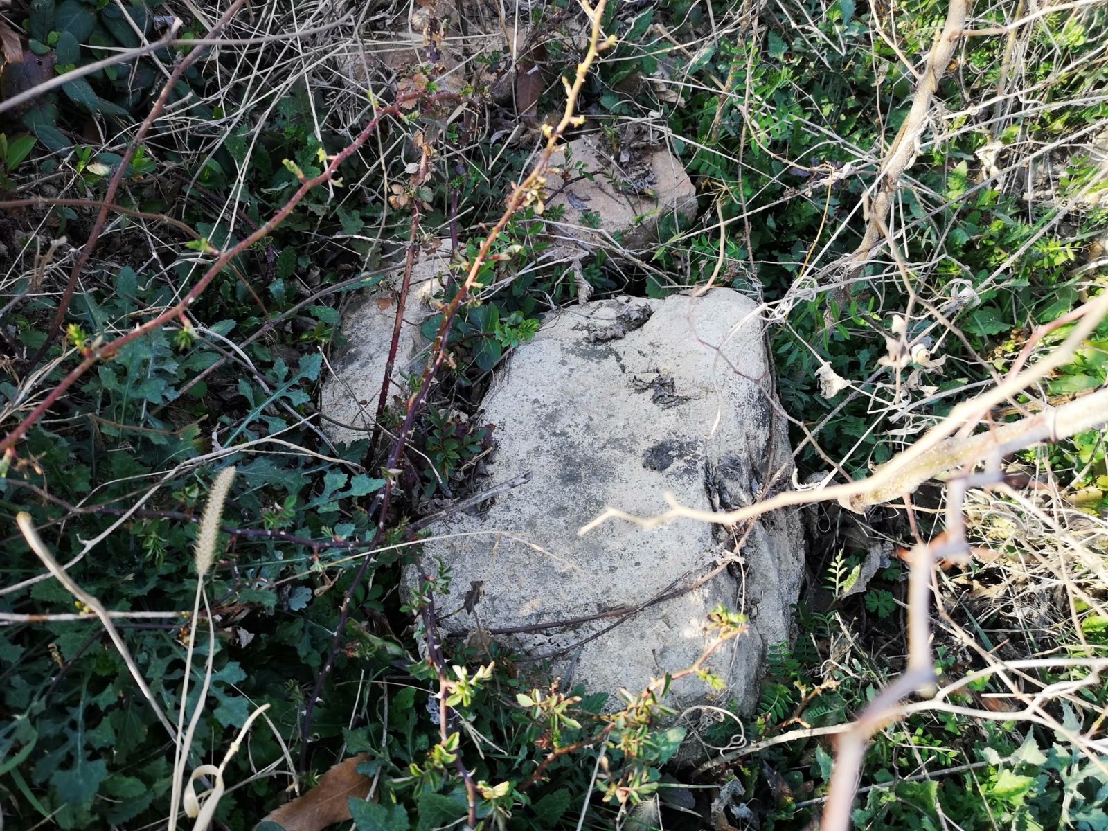 摩托周边旮旯游——探访蚌埠李楼鲁山寺遗址（上）