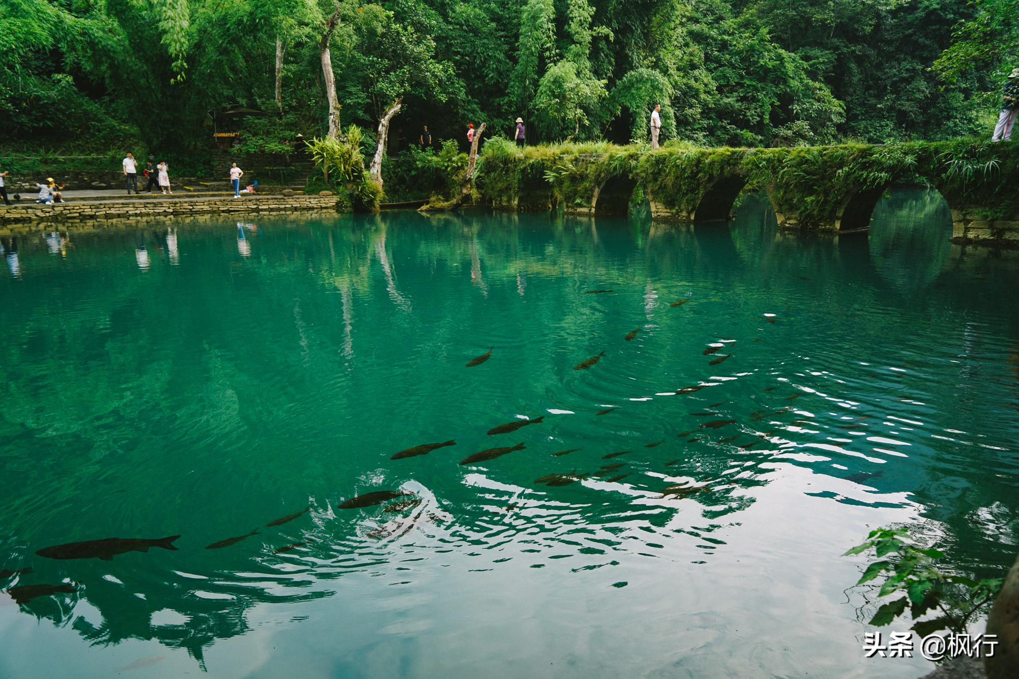 贵州荔波吃什么比较有特色,贵州旅游吃当地美食