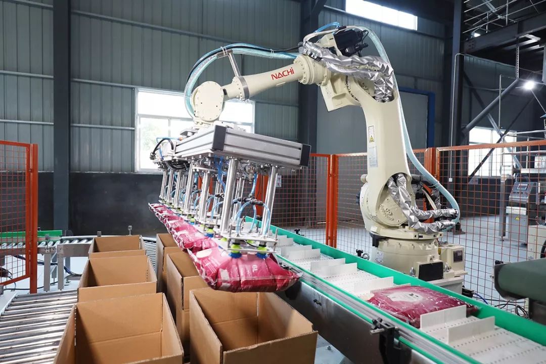 cips2019中国宠物展,cips宠物展直播