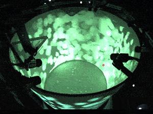 好紧张马上要和喜欢的人表白了,对已婚女人表白她很紧张