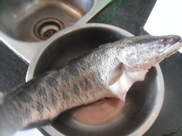 水煮鱼推荐给外国人,个人版水煮鱼