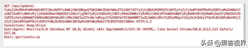 定价400美元！探秘暗网在售的*载下**型木马病毒“Buer（帕尔）”