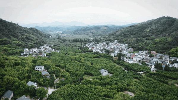 20w祖宅翻新改造,杭州翻新祖宅获奖