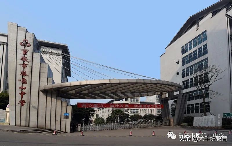 体育特长如何走统招路线,以艺术特长生进入高中