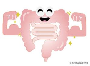 有很多人说益生菌吃了没效果,益生菌包治百病是谁说的