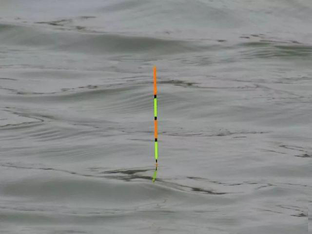 钓鱼多年以后,钓鱼几年的感悟