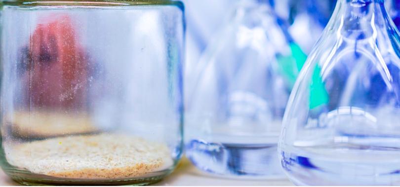 被低估的医药原料药龙头,国内原料药龙头一览