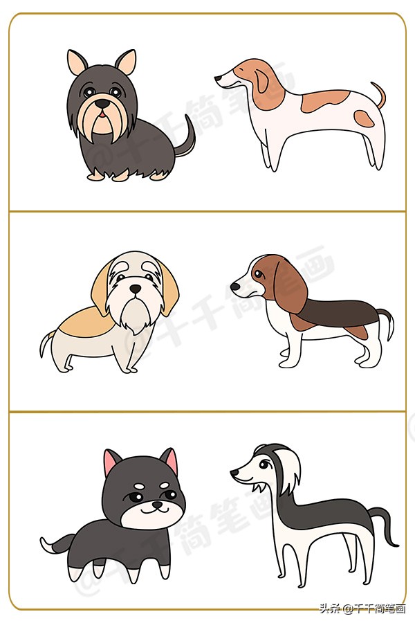 狗狗简笔画+合集，柯基，二哈，斗牛，秋田，泰迪，超详细