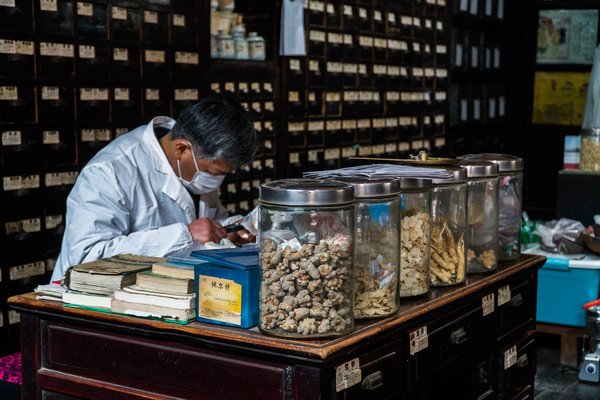 踏春赏花拍美景,踏春赏花逛湖