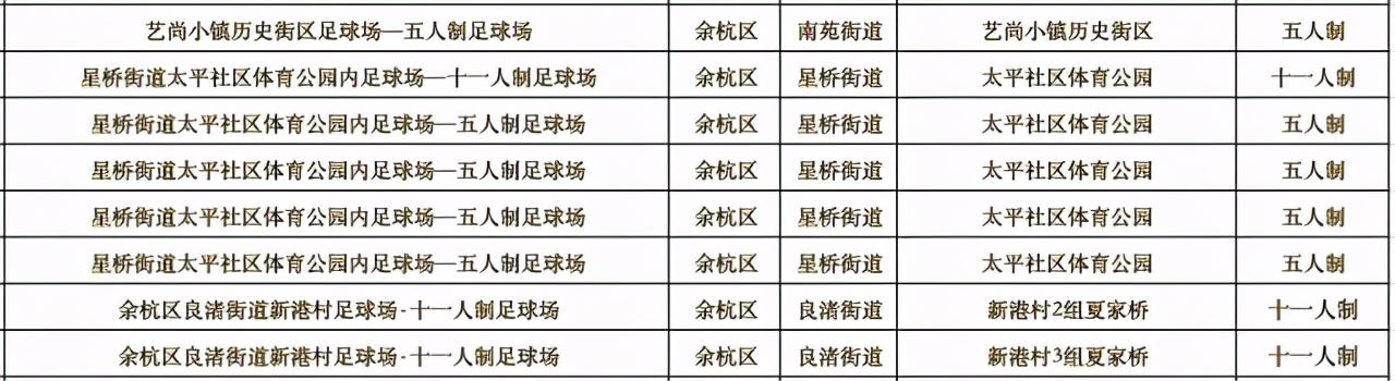 杭州亚运足球场地,杭州有没有标准的足球场