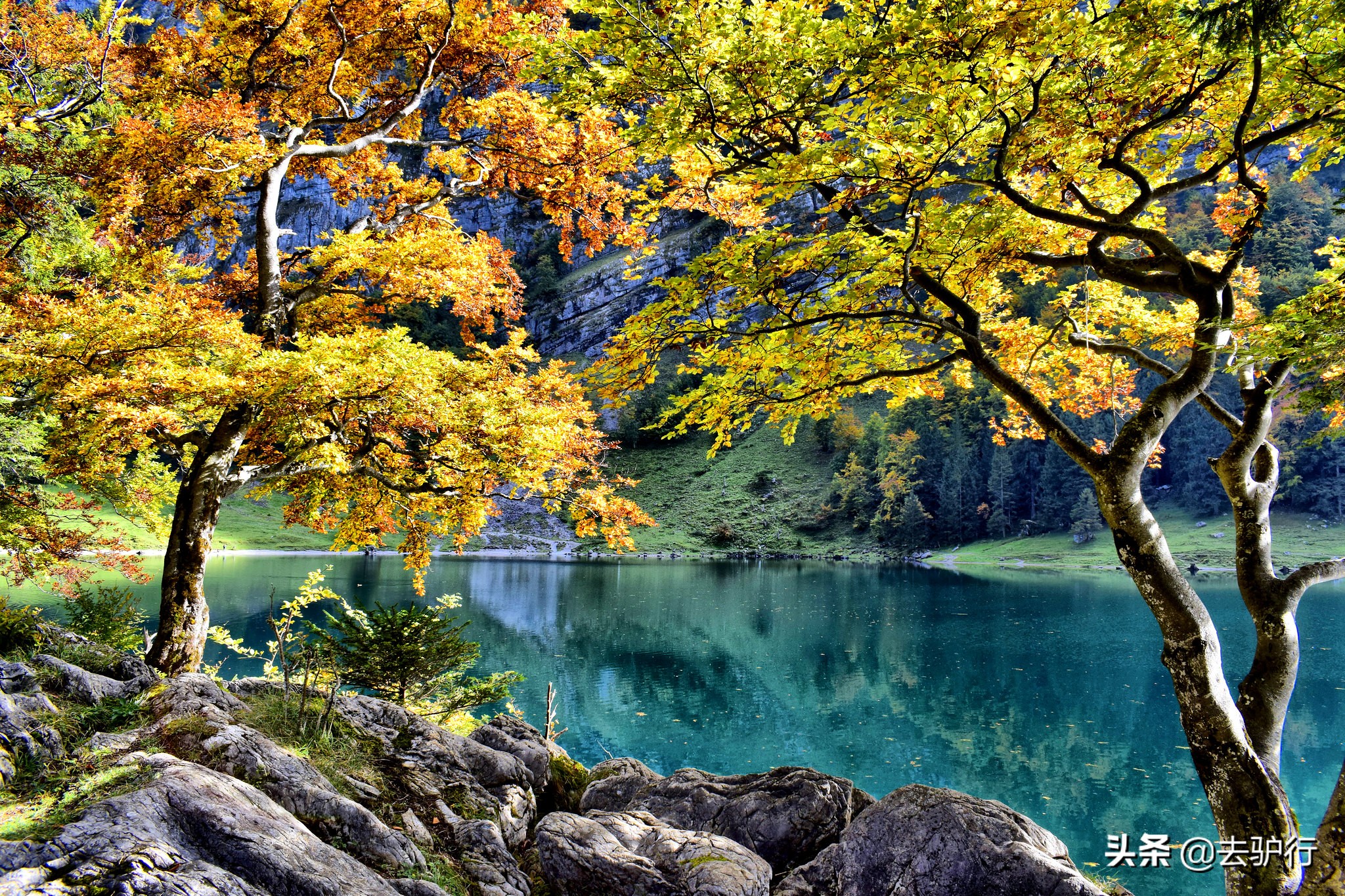 世界上可以直接喝自来水的国家,欧美自来水真的可以直接喝吗