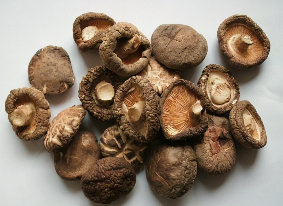 吉林特产美食推荐,吉林最好吃的美食有哪些