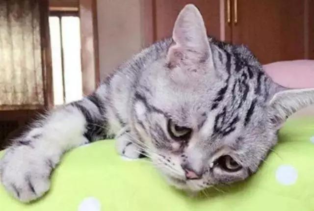 姑娘,我掏根管的时候,你舌头放尊重一点