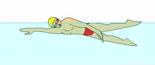 自由泳游完胳膊一抬起来就疼,为什么每次游自由泳胳膊内侧痛