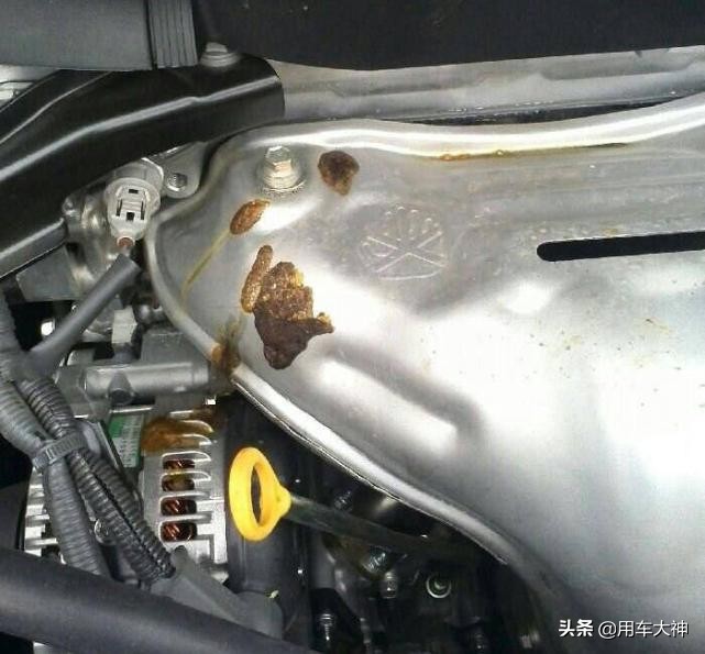 流浪猫进发动机舱,发动机舱进猫怎么防治