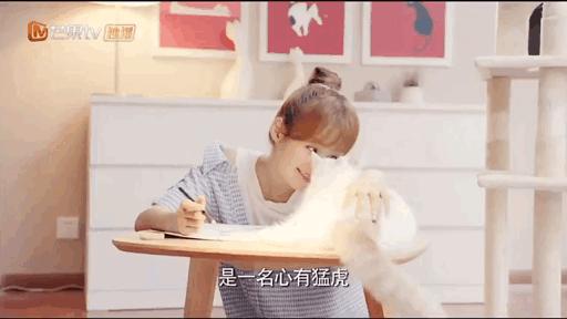 甜而不腻的剧片段,甜但不腻的剧