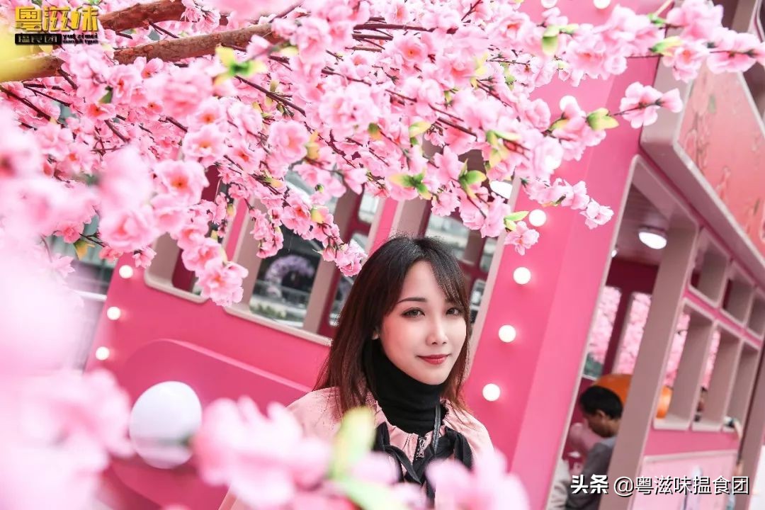 麦兜潮玩,麦兜打卡地