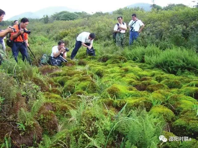 邵阳楹联的基本情况,湖南邵阳楹联碑刻