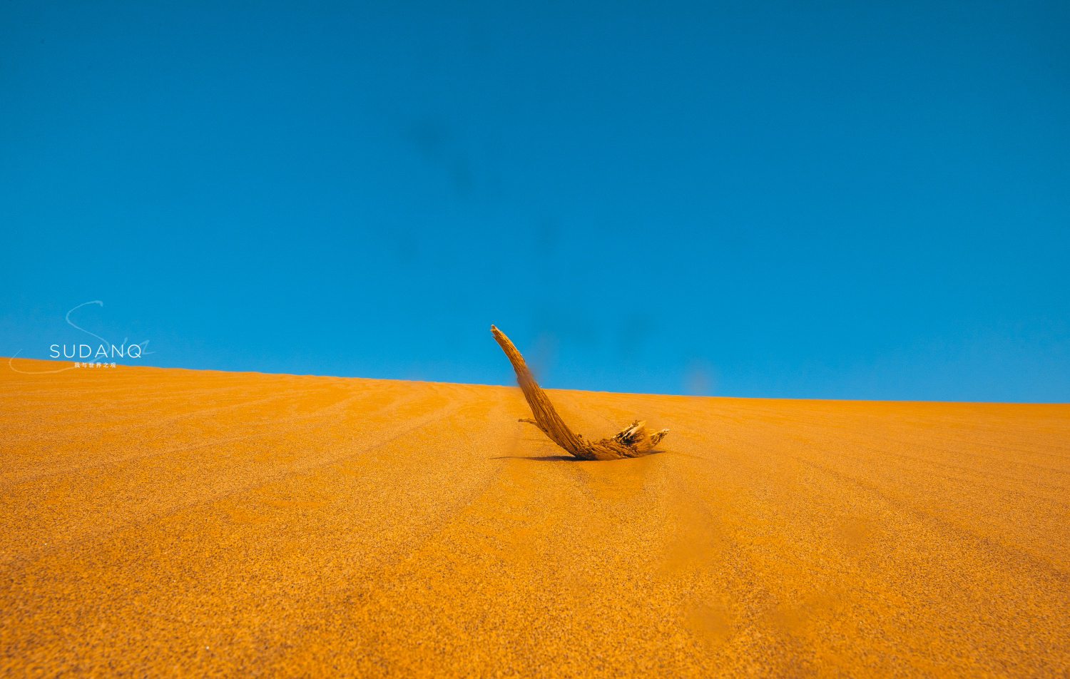 疆内哪里好玩风景好,疆内好玩的地方推荐
