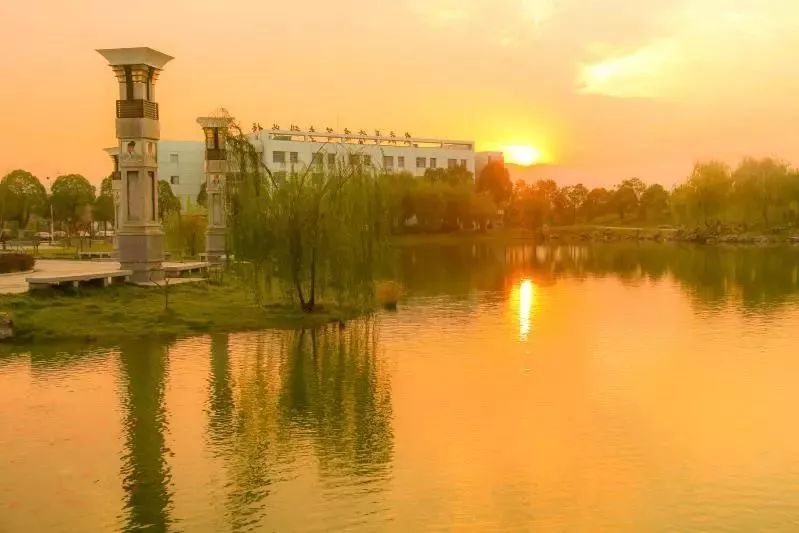 安庆高等医药职业学校,安庆医药高等专科学校2020年单招