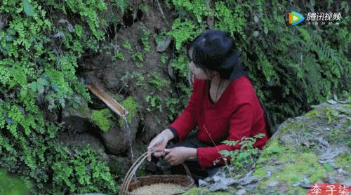 李子柒一年赚168亿背后的真相,李子柒破1000万